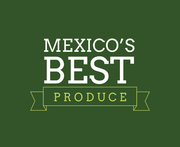 Mexicos Best logo (1)